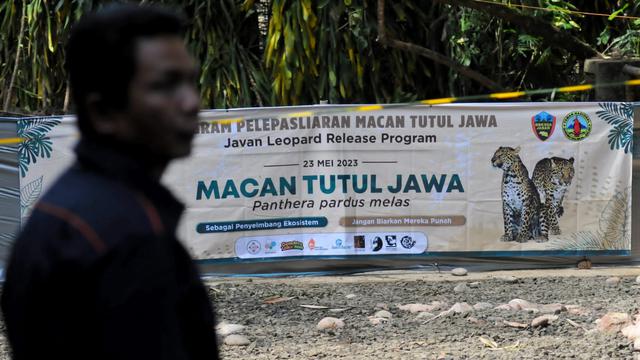 Satwa Liar Hidup Dan Berkembang Bebas. (Rabu, 24/05/2023). (Istimewa).