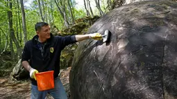 Suad Keserovic membersihkan bola batu temuannya di hutan Desa Podunavlje, Bosnia dan Herzegovina, Senin (11/4). Semenjak menemukan bola batu raksasa itu, Keserovic mengaku mendapat kunjungan ratusan wisatawan dari seluruh dunia. (REUTERS/Dado Ruvic)