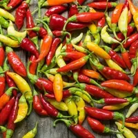 Cabai Rawit (Sumber: Merdeka.com/dream.co.id)