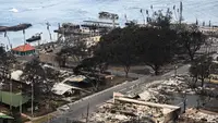 Dari semua situs di Lahaina, hanya sedikit yang seterkenal pohon beringin setinggi 60 kaki (18 meter) dengan 46 batang, yang meliputi area seluas 1,94 acre (0,78 hektare) yang kira-kira seukuran blok kota. (Patrick T. Fallon / AFP)