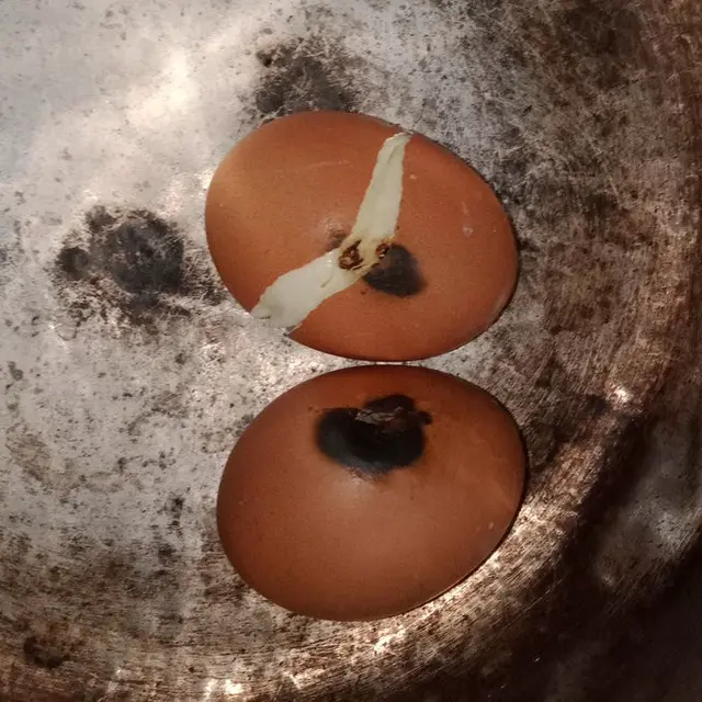 6 Momen Apes Masak Telur Sampai Gosong Ini Bikin Enggak Napsu Makan