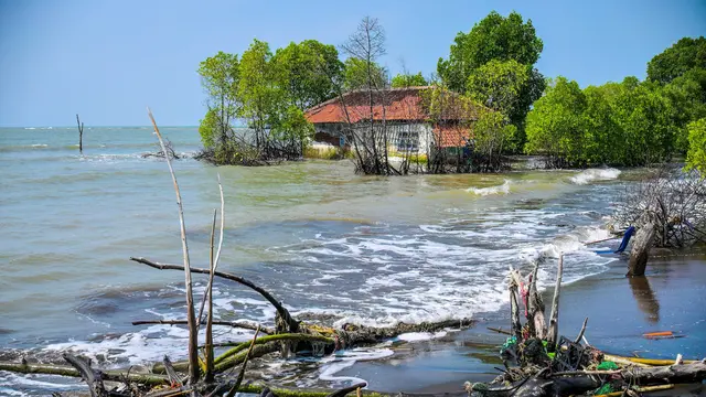 Wilayah di Pesisir Utara Jawa Tengah Terancam Tenggelam