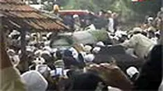 liputan6