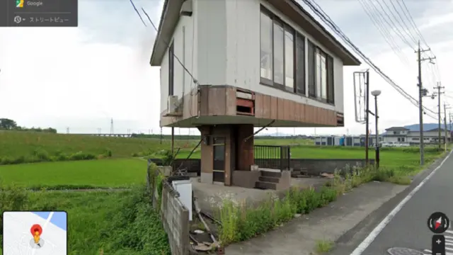 rumah jamur