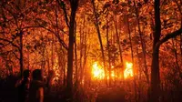 Lahan yang terbakar di Desa Baula, Kolaka, Sulteng, Selasa (6/9) malam. Kebakaran lahan diduga akibat pembukaan lahan liar yang dilakukan warga. (Antara)