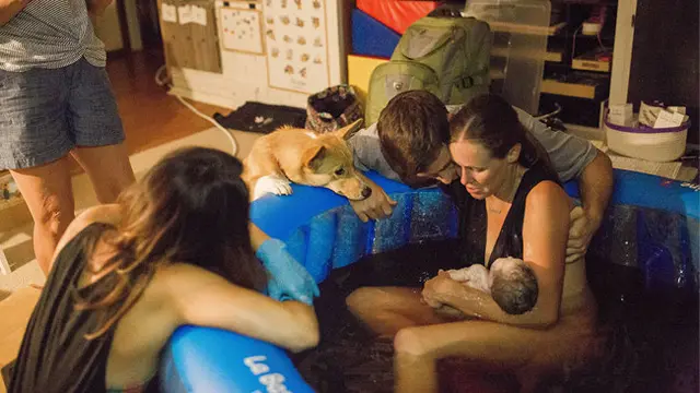 Momen hangat anjing saat menemani majikannya melahirkan