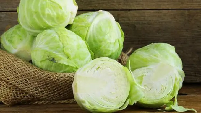 Kubis/Copyright Shutterstock