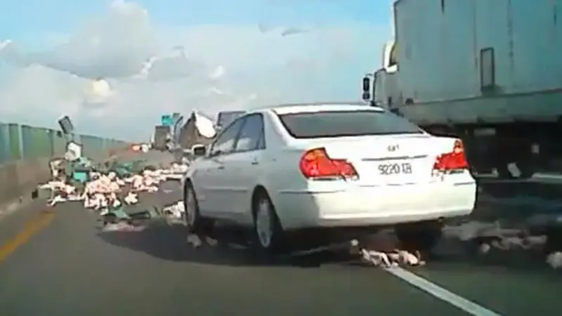 Tabrakan, Truk ini Banjiri Tol Dengan Daging Ayam Potong