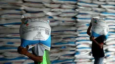 Pupuk Indonesia dan Pertamina Jajaki Pengembangan Metanol hingga Green Ammonia