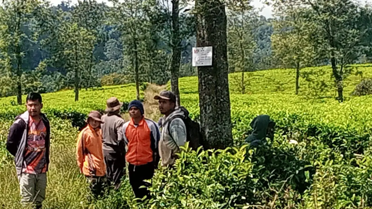 Nampak beberapa warga dari dua desa dan dua kecamatan di Garut, sebelum melakukan pengrusakan ribuan pohon teh di Kebun Avdeling Cisaruni Blok Cikandang, Cikajang, Garut, Jawa Barat.