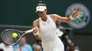 Garbine Muguruza berusaha mengembalikan bola ke arah lawannya Magdalena Rybarikova pada laga semifinal tunggal putri Wimbledon 2017 di London, (13/7/2017). (AP/Kirsty Wigglesworth)