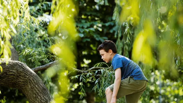 Mengenal Nature Deficit Disorder dan Alasan Anak Perlu Sering Main di Taman