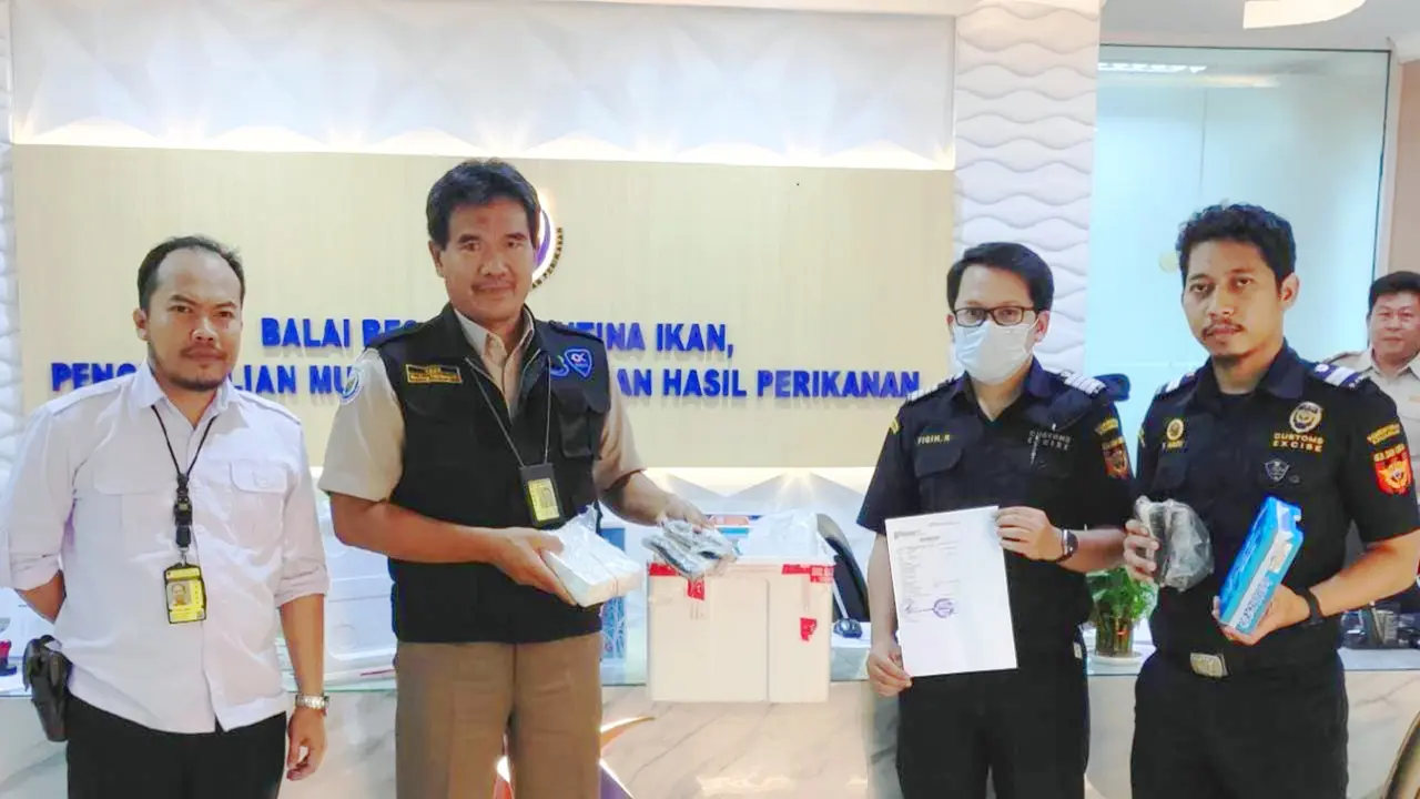 Daging Rusa Mentah Diamankan Bea Cukai Bandara Soetta