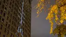 Sebuah proyeksi Menara Eiffel ditampilkan di sisi bangunan Flatiron New York City, Rabu (18/11). Gambar yang menampilkan tulisan She is tossed by waves but does not sink itu bentuk solidaritas terkait serangan teror Paris. (Andrew Burton/Getty Images/AFP)