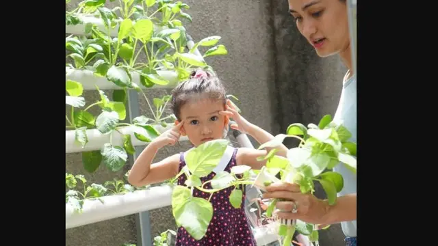 Panen Sayur Perdana di Rumah, Atiqah Hasiholan Minta Resep dari Warganet
