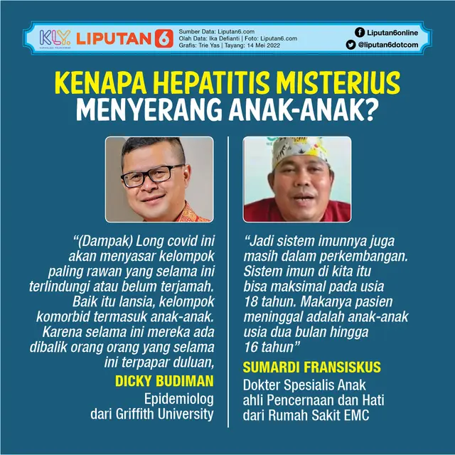 infografis journal