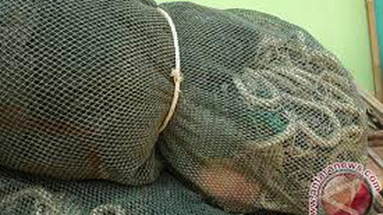 Alat Tangkap Ikan Cantrang