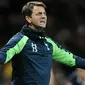 Tim Sherwood (theguardian.com)