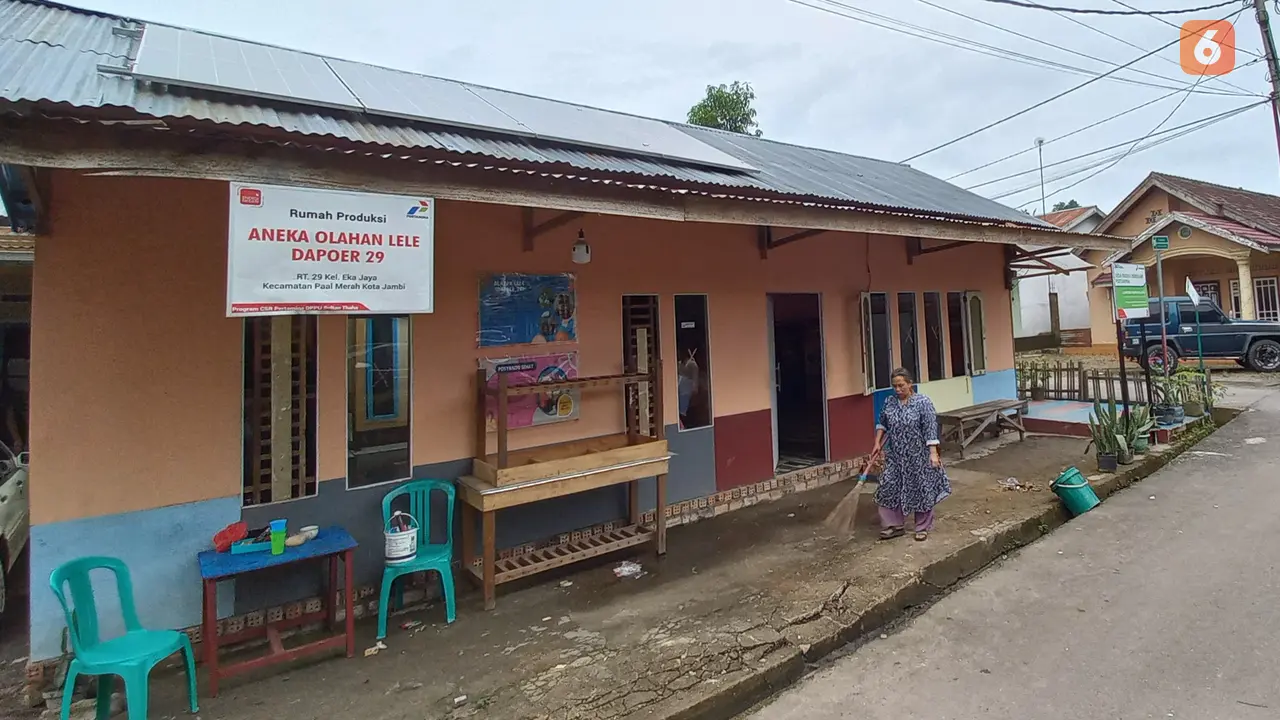 Rumah produksi lele