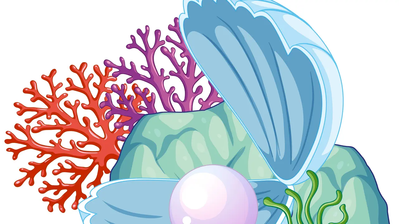 Ilustrasi mutiara. (@brgfx/Freepik)