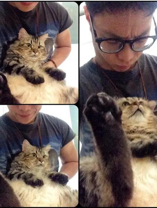 Bagi Pradikta Wicaksono alias Dikta yang tidak kalah penting soal makan dan minum harus disiplin. Serta kasih sayang karena kucing suka diajak bercanda. (Instagram/ dikta)