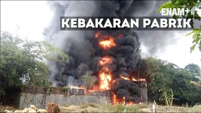 Sebuah pabrik Gondorukem atau pengolahan getah pinus di Pekalongan, Jawa Tengah, terbakar. saat kebakaran terjadi ledakan yang diakibatkan bahan-bahan pengolahan parik yang mudah terbakar.
