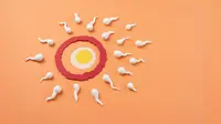 10 Tips Meningkatkan Kualitas Sperma, Terbukti Efektif