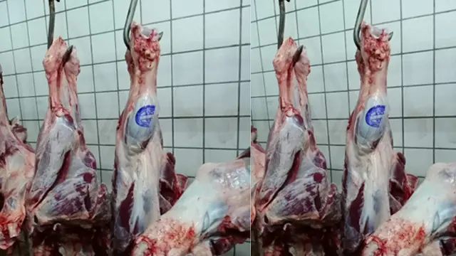 Kementan Pastikan Stok Komoditas Hewani Aman Pasca Lebaran
