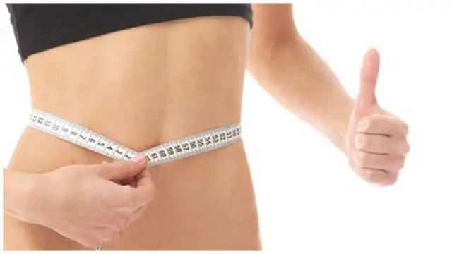 Copyright by Shutterstock.com