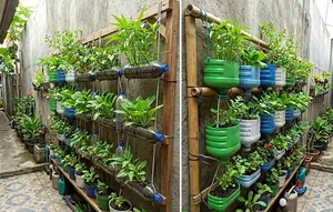 8 Cara Membuat Kebun Vertikal dari Galon Bekas dan Botol Plastik di Lahan Sempit