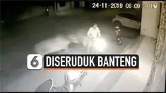 vertical diseruduk banteng