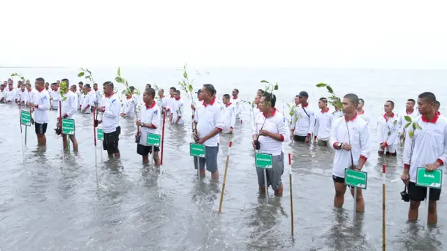 Aksi tanam mangrove