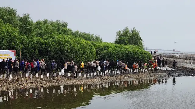 Polda Metro Jaya Bersama DLH DKI Bahu Membahu Bersihkan Sampah di Hutan Mangrove Angke.