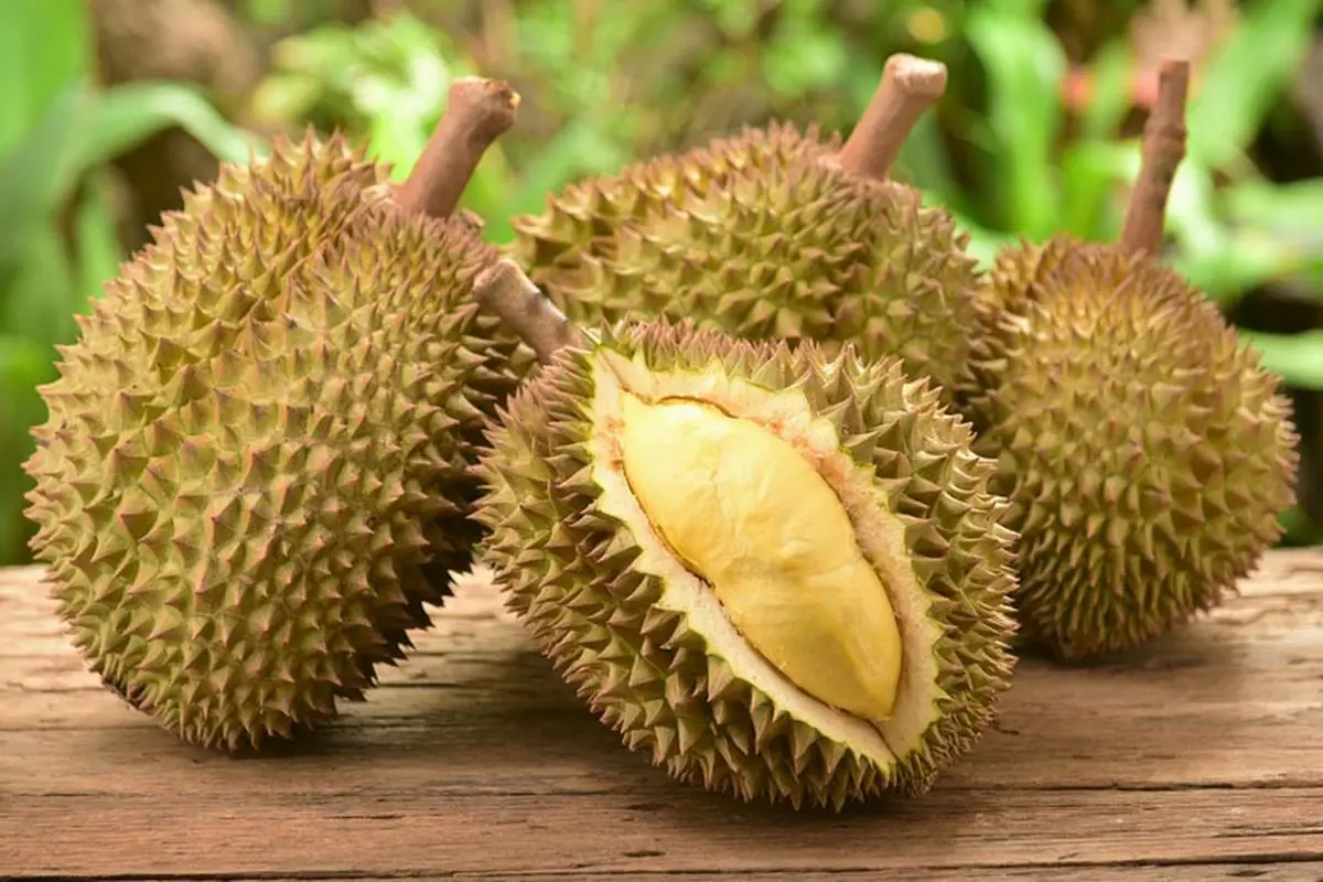 5 Alasan Kenapa Anda Perlu Makan Durian (Taveesak Srisomthavil/Shutterstock)