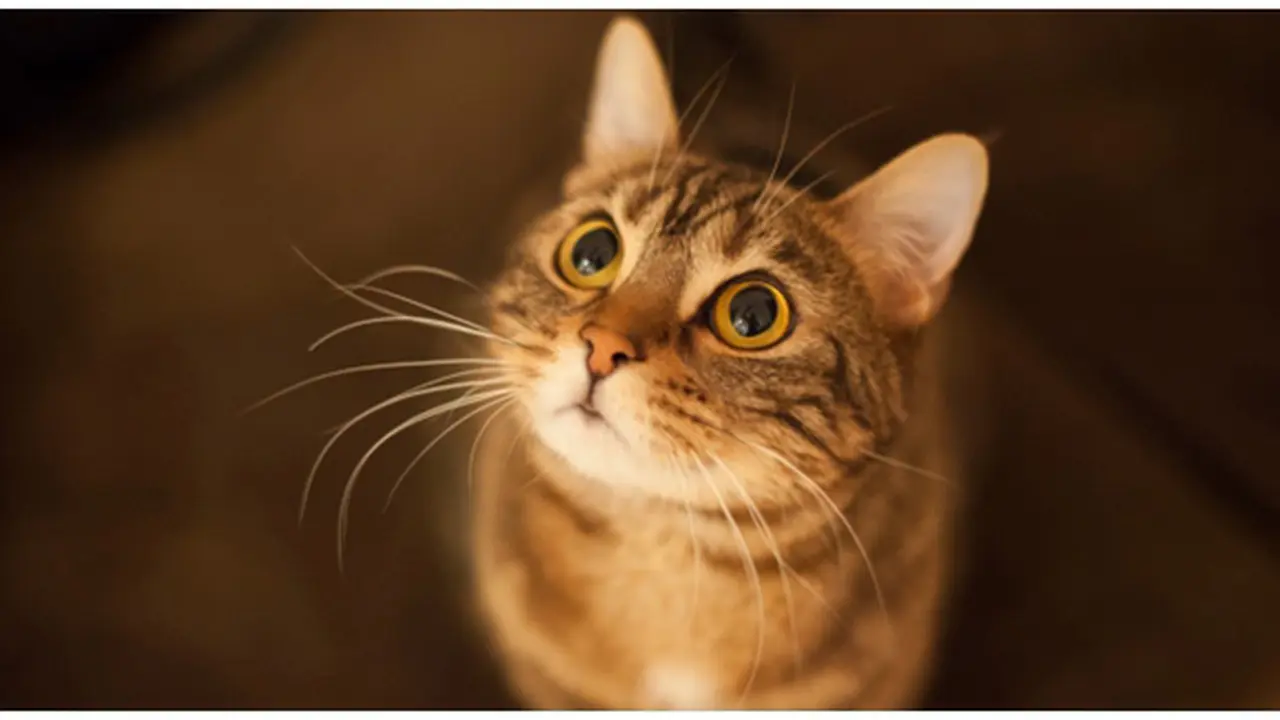 Foto : copyright thinkstockphotos.com