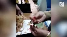 Beberapa guru menemukan ada sosis yang terbuat dari lilin pada martabak telur yang dijajakan pada anak sekolah. 