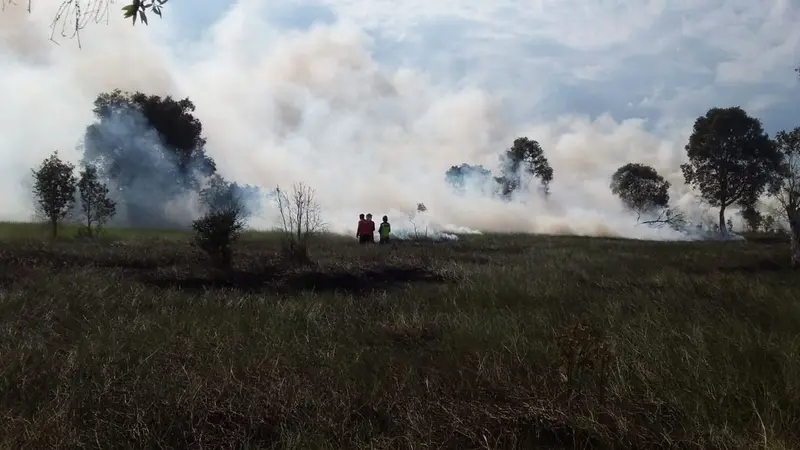 Kebakaran Lahan Kembali Terjadi di Sumsel di Tengah Pandemi Covid-19