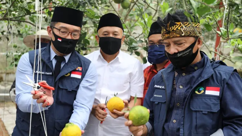 Menteri Koperasi dan UKM Teten Masduki mengunjungi Koperasi Pondok Pesantren Al Ittifaq di kawasan Ciburial, Bandung, Minggu (21/6/2020). (Dok Kemenkop)