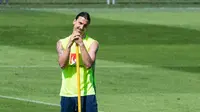 Pelatih Wales: Ibrahimovic Bagaikan Monster!
