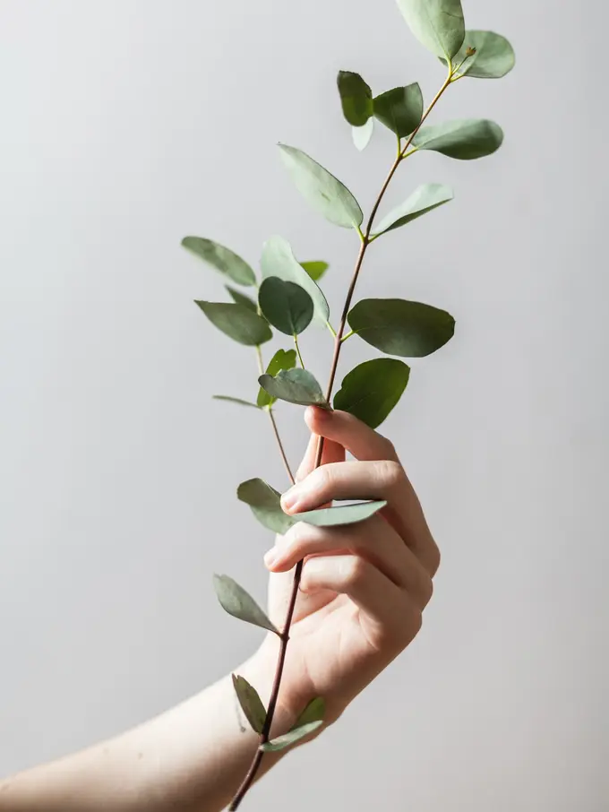 [FIMELA] My Goal Matter, Acara Seru Fimelahood yang Tak Boleh Kamu Lewatkan!