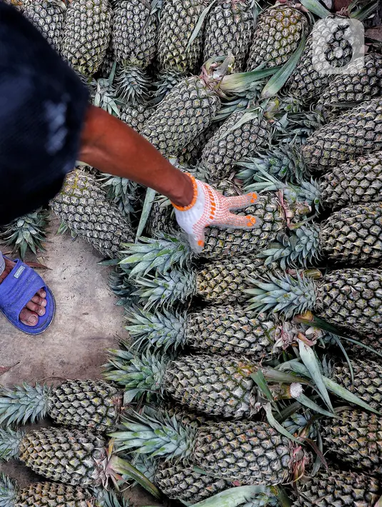 Buah yang mengandung vitamin C itu diburu pembeli untuk berbagai kebutuhan. Mulai untuk salah satu bahan es buah hingga bahan olahan kue lebaran. (Liputan6.com/Angga Yuniar)