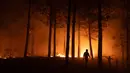 Api juga menyebabkan kerusakan parah pada infrastruktur dan rumah penduduk. Tampak dalam foto, warga bergotong royong memadamkan vegetasi yang terbakar selama kebakaran hutan di kota Florida dekat kota Concepcion, Chile, pada Senin 19 Januari 2026. (Raul BRAVO/AFP)