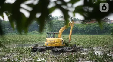 Petugas menggunakan alat berat untuk mengeruk eceng gondok yang memenuhi permukaan Setu Pengarengan, Depok, Jawa Barat, Senin (16/12/2019). Pengerukan dilakukan untuk membersihkan Setu Pengarengan dari eceng gondok yang tumbuh selama kurang lebih satu tahun terakhir. (Liputan6.com/Immanuel Antonius)