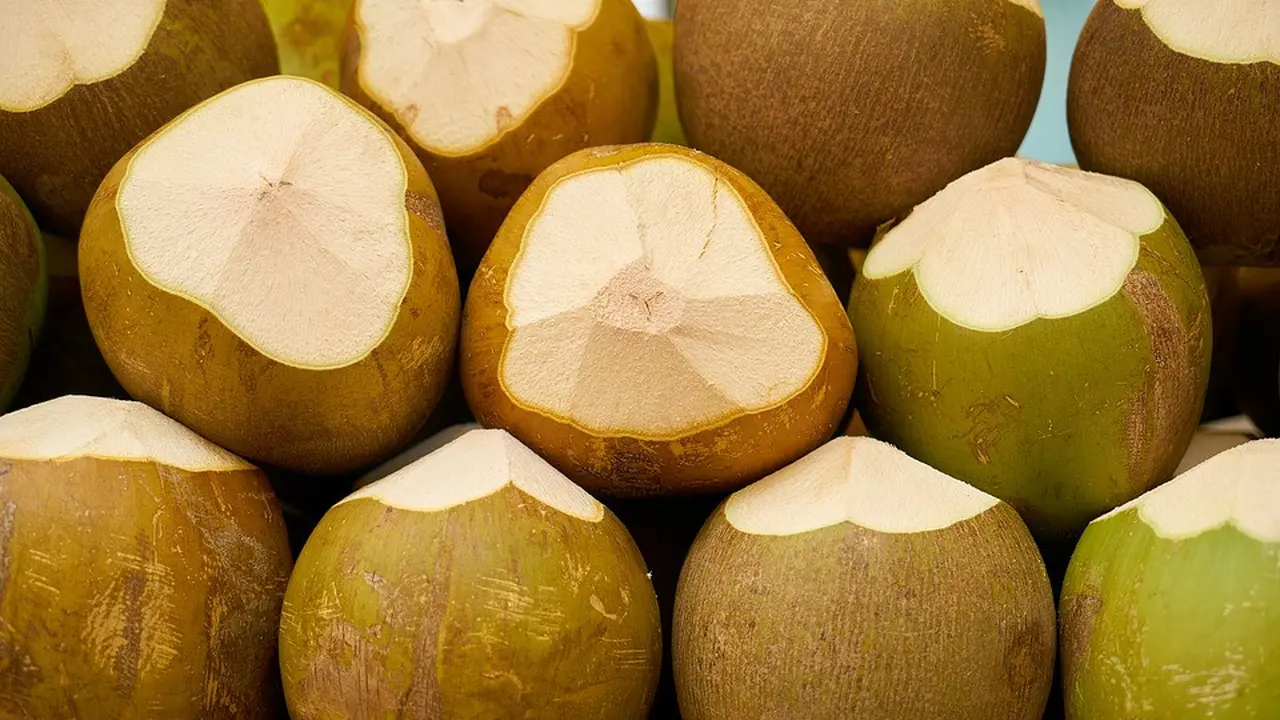 Ilustrasi kelapa.