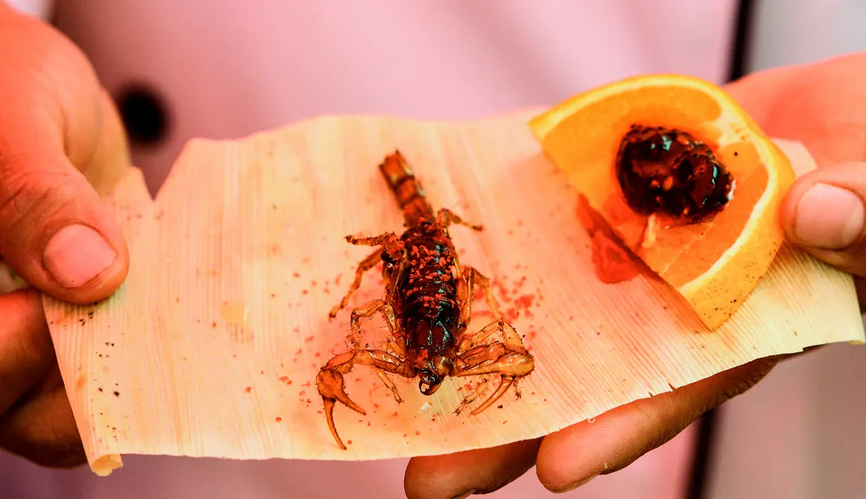 Menikmati Cokelat Bertabur Cacing hingga Kecoa Madagaskar