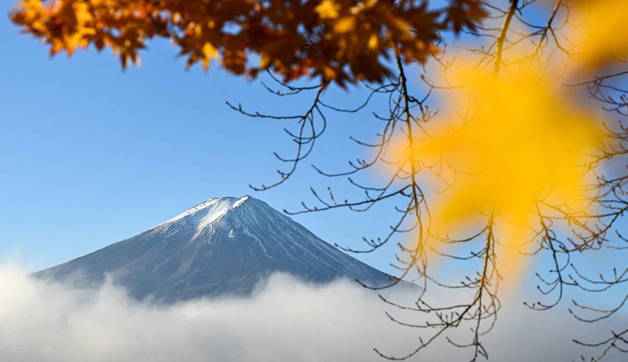 Nilai budaya dan inspirasi artistiknya yang mendalam menjadikan gunung ini tercatat sebagai Situs Warisan Budaya Dunia UNESCO pada tahun 2013. Tampak dalam foto, Gunung Fuji, gunung tertinggi di Jepang dengan ketinggian 3.776 meter (12.460 kaki), terlihat di balik daun-daun musim gugur dari kota Fujikawaguchiko, Prefektur Yamanashi, pada Senin 17 November 2025 pagi hari. (Caroline GARDIN/AFP)