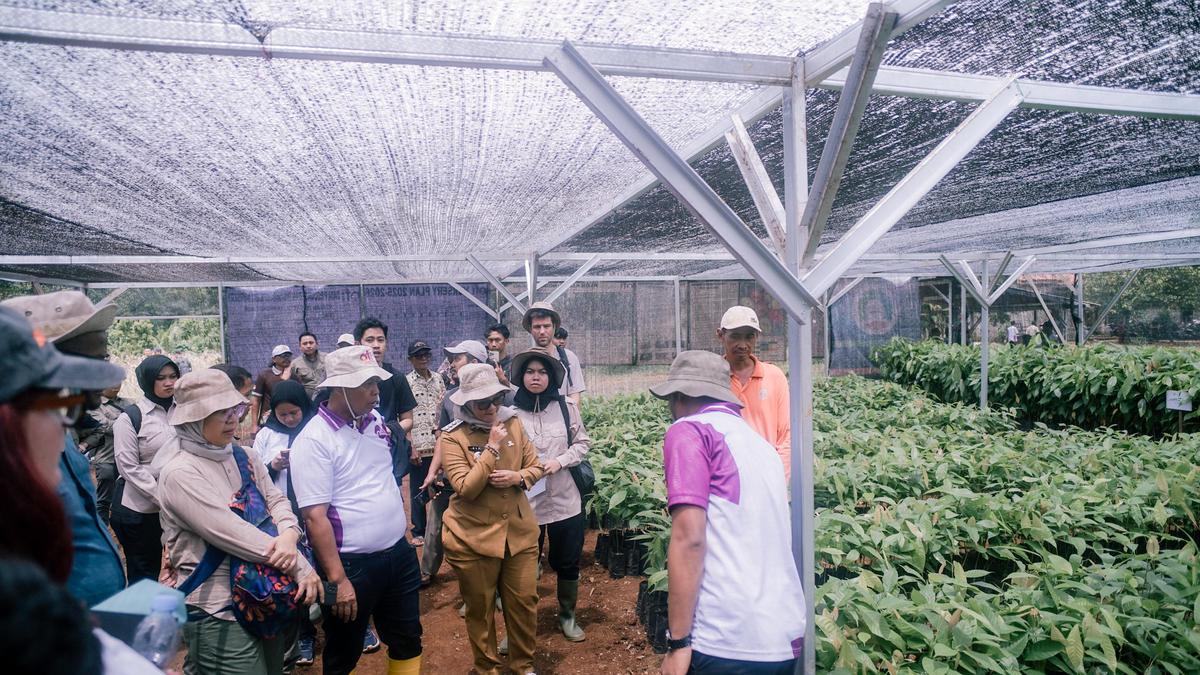 Tangani Degradasi Lahan, Petani Lampung Timur Diajarkan Sistem Pengolahan Berkelanjutan