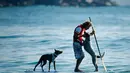 Pelatih anjing sekaligus mantan juara selancar, Chris de Aboitiz berselancar dengan kedua anjingnya di lepas pantai Palm, Sydney , (18/2). Hal ini dilakukan Chris untuk menjalin hubungan yang baik dengan peliharaannya. (REUTERS / Jason Reed)