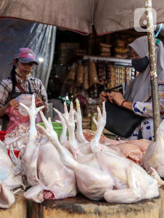 Kondisi ini perlu diawasi lebih lanjut guna memahami faktor-faktor yang memengaruhi fluktuasi harga pangan dan mengambil langkah-langkah yang tepat untuk menjaga stabilitas harga dan ketersediaan pangan di masyarakat. (Liputan6.com/Angga Yuniar)
