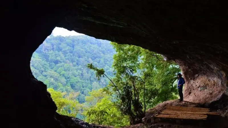 Deretan Pesona Alam Populer di Jombang, Selain Wisata Religi